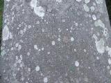 image of grave number 278921